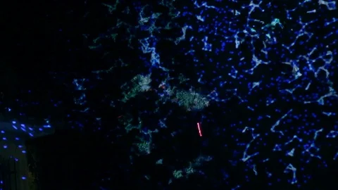 Interactive laser projector mapping science art in Sintra Portugal Stock Footage 113657201