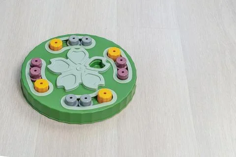 Interactive puzzle where to hide dried treats and cheese to train dog's sen.. Fotos Stock