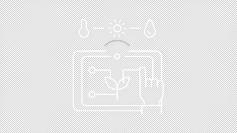 Interactive smart farming system white line animation Stock Footage 300539571