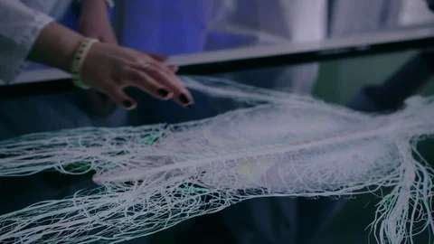 An interactive table with a 3D model of blood vessels Stock Footage 123209735