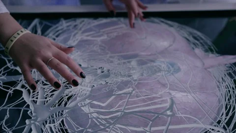 An interactive table with a 3D model of a human body Stock Footage 123210129