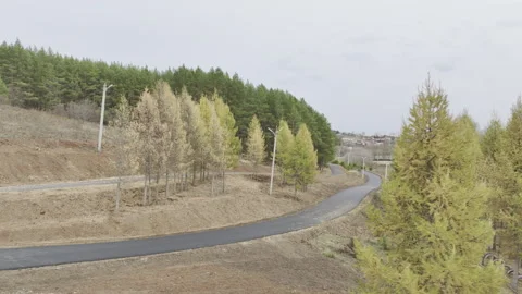 Intercity highways run through dense forested area Vídeo Stock 326467261