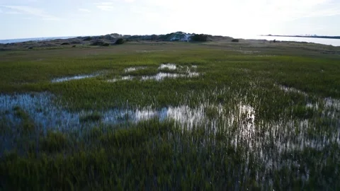 Intercoastal Stockbeeldmateriaal 163317871