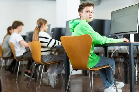 Interested schoolboy during lesson in computer class Stock-Fotos