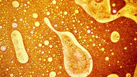 Interestic golden liquid pattern with bubbles Stock Footage 124289595