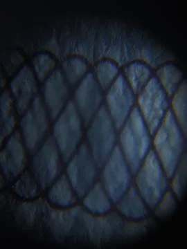 Interesting abstract image Photos