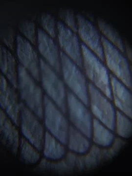 Interesting abstract image Фото