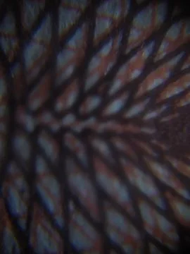 Interesting abstract image Photos