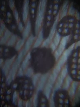 Interesting abstract image Фото