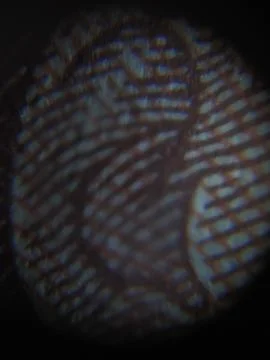 Interesting abstract image Фото