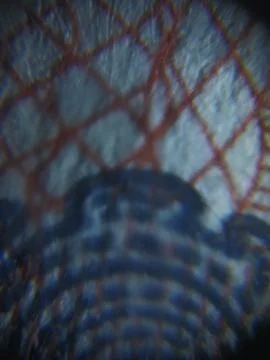 Interesting abstract image Фото