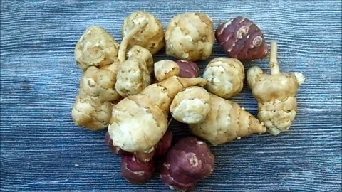 Interesting and different shapes to be cut with a knife Jerusalem artichoke, Stock Footage 86202933