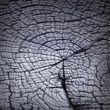 Interesting background section of oak beam Stock Photos