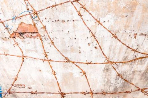 Interesting barbed wire on background of white old crushed concrete painted wall Stock Photos