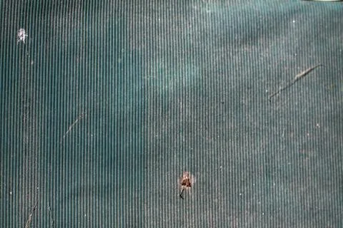 Interesting creative textures from a different plan of cobblestones or lines, Stock Photos