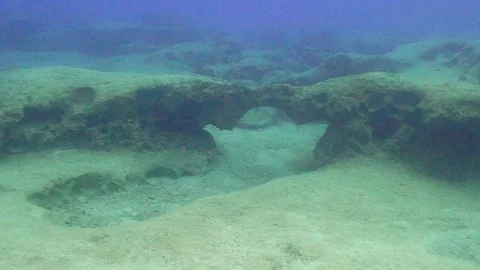 Interesting Deep Sea Floor Structure Stock Footage 123979909