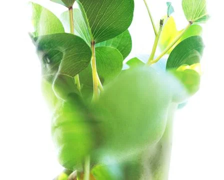 An interesting double exposure portrait of a man looking to the side Stock Illustration