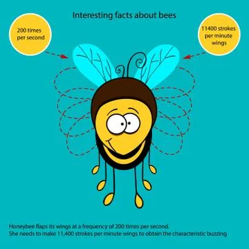 Interesting fact about bees Stock Illustration