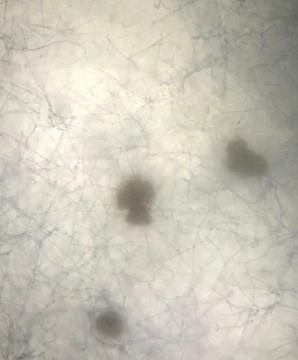 Interesting find Stock Photos