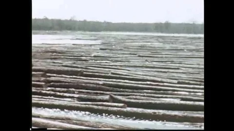 Interesting footage of logs being floated down a river in this 1930's era film. Stock Footage 106908165