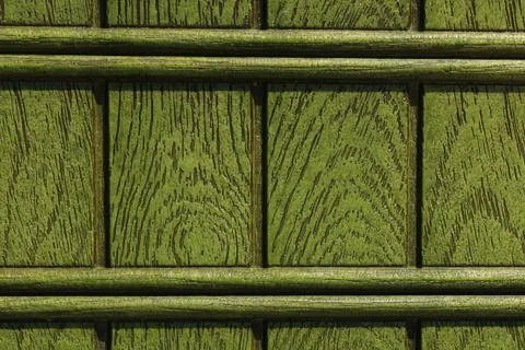 Interesting green background Stock Photos