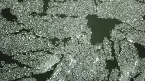 Interesting ice formation Stock Footage 86621906