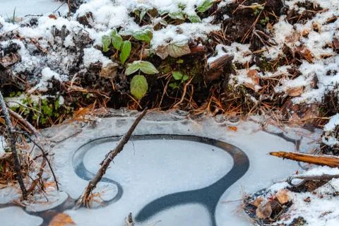 Interesting Ice pattern Stock Photos