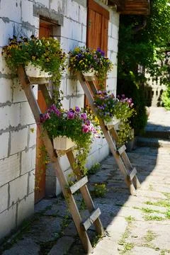 Interesting idea for container vertical garden flowering plants. Stock Photos