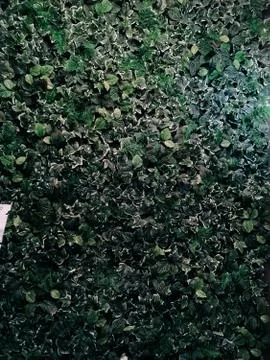 Interesting natural green background with selective focus Stock Photos