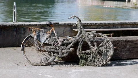 Interesting old reddish brown rusty ladies bike pulled from river, dirty Stock Footage 168303900