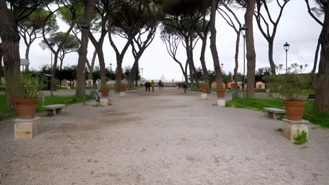 An interesting orchard full of orange trees, located in the centre of the city Stock Footage 153670050