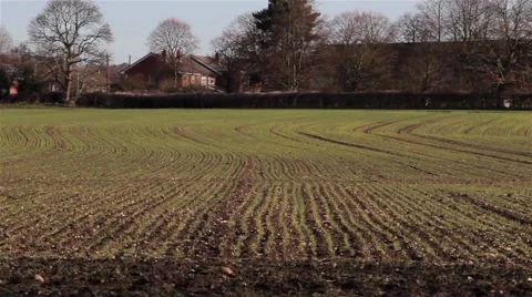 Interesting Patterns on Farmed Plowed Field Lines Stretch Away - Cultivated Soil 動画素材 48987792