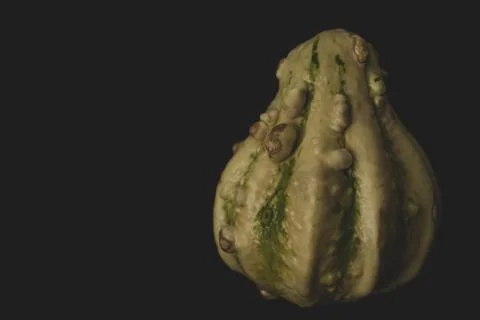 Interesting pumpkin close up, selective focus Stock Photos