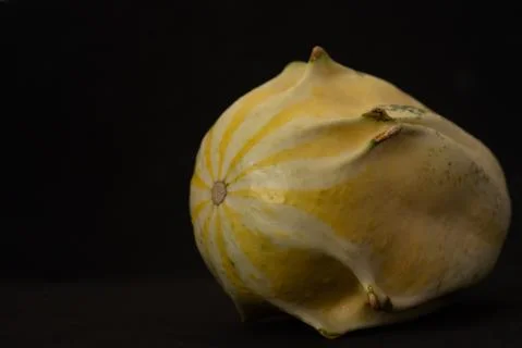 Interesting pumpkin close up, selective focus Stock Photos