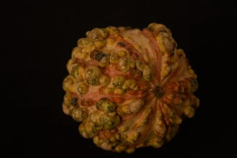 Interesting pumpkin close up, selective focus Stock Photos