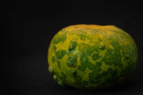 Interesting pumpkin close up, selective focus Stock Photos
