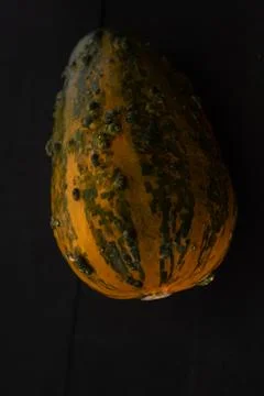 Interesting pumpkin close up, selective focus Stock Photos