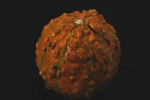 Interesting pumpkin close up, selective focus Stock Photos