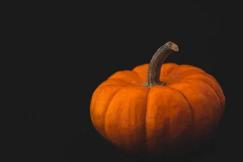Interesting pumpkin close up, selective focus Stock Photos