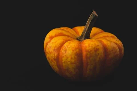 Interesting pumpkin close up, selective focus Stock Photos