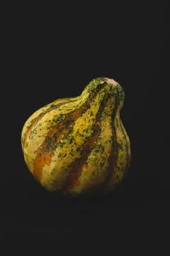 Interesting pumpkin close up, selective focus Stock Photos