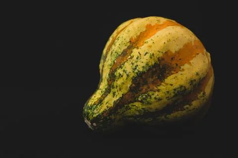 Interesting pumpkin close up, selective focus Stock Photos