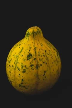 Interesting pumpkin close up, selective focus Stock Photos