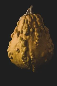 Interesting pumpkin macro close up, selective focus Stock Photos