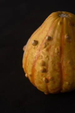Interesting pumpkin macro close up, selective focus Stock Photos