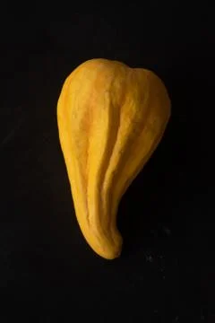 Interesting pumpkin macro close up, selective focus Stock Photos