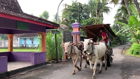 Interesting side in Indonesia Stock Footage 236567685