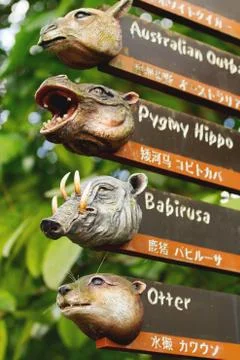 Interesting signs to the enclosures. Pointers with animal's heads. Singapore  Stock Photos