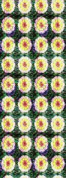 Interesting super cute abstract and nice picture Illustrazione stock