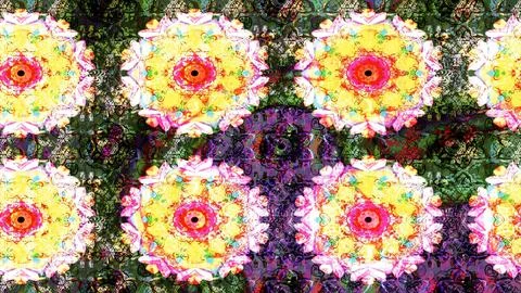 Interesting super cute abstract and nice picture Illustrazione stock